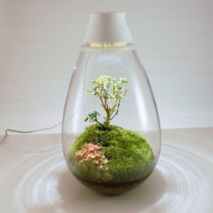 植物の光合成をサポートするLED照明付テラリウム Mosslight 