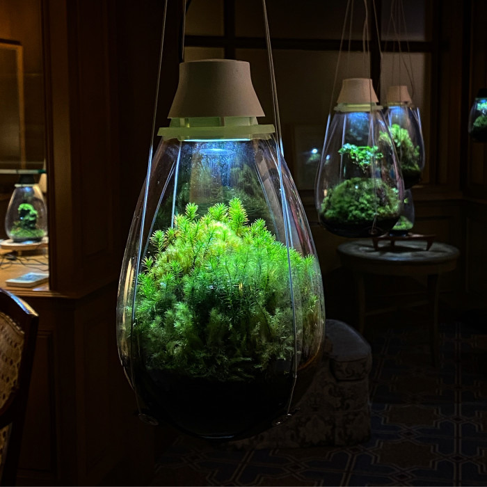 ホテル椿山荘東京 Mosslight モスライト