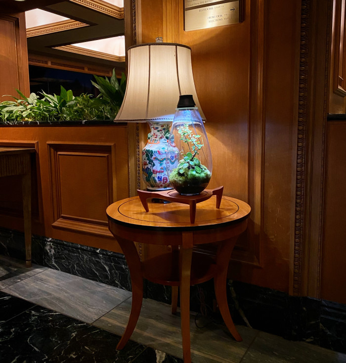 ホテル椿山荘東京 Mosslight モスライト