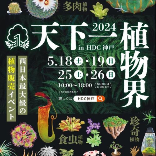 モスライト　第4回天下一植物界