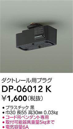 dp06012k