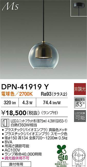 dpn41919y