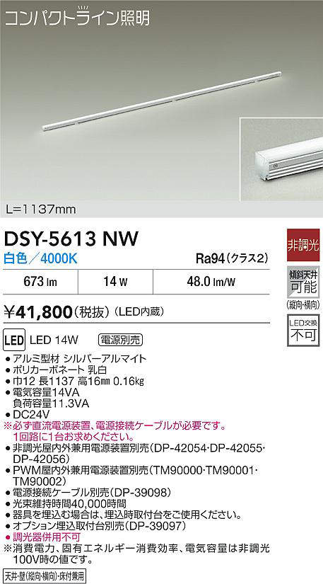 dsy5613nw