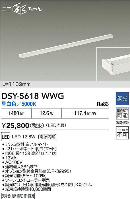 dsy5618wwg