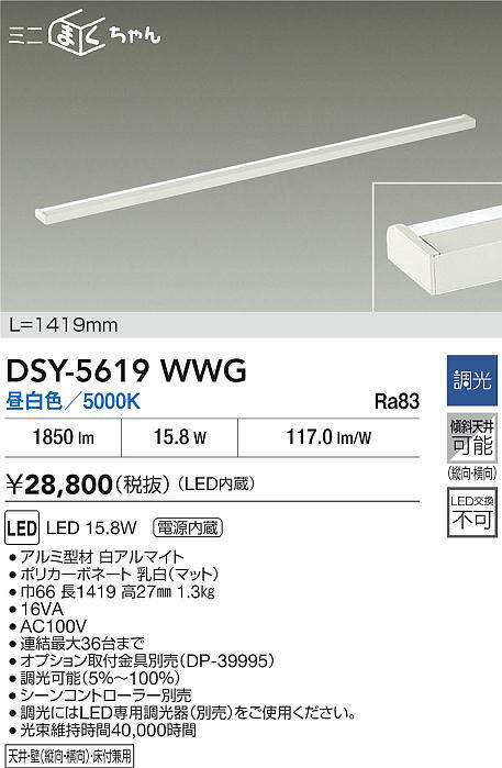 dsy5619wwg