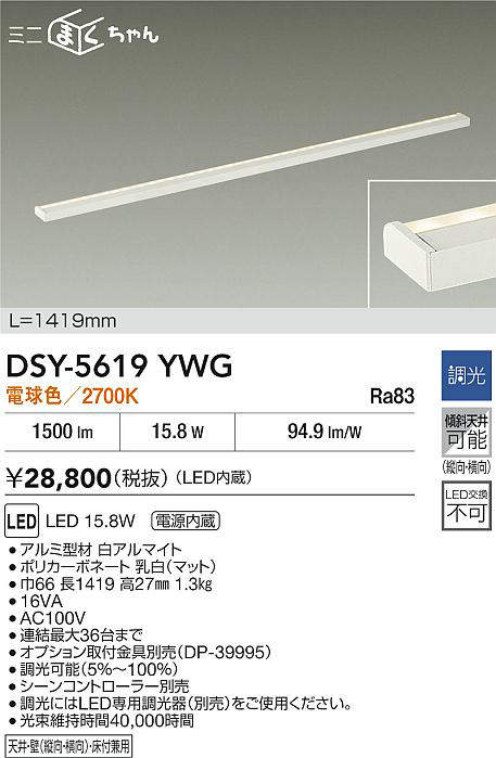 dsy5619ywg