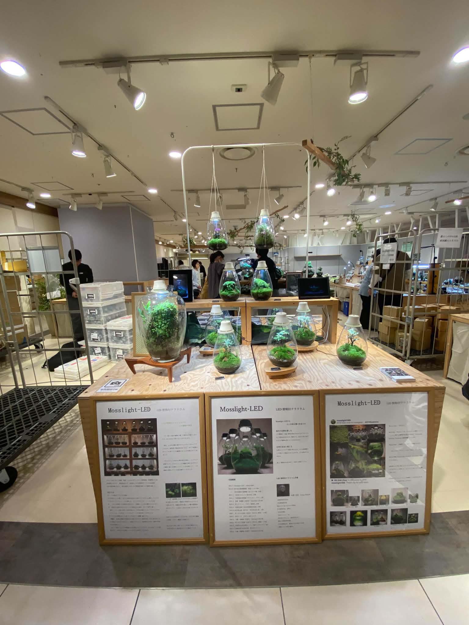 阪急うめだ本店10階スーク-暮らしの中の自然Vol. 3