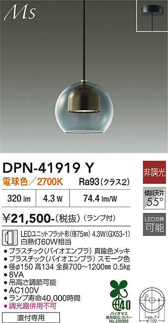 dpn41919y
