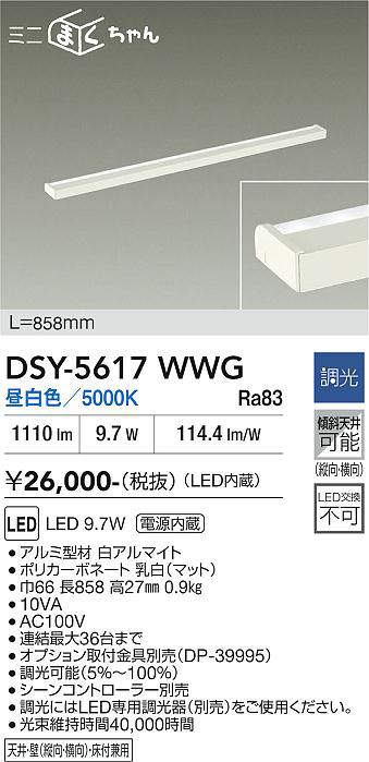 dsy5617wwg