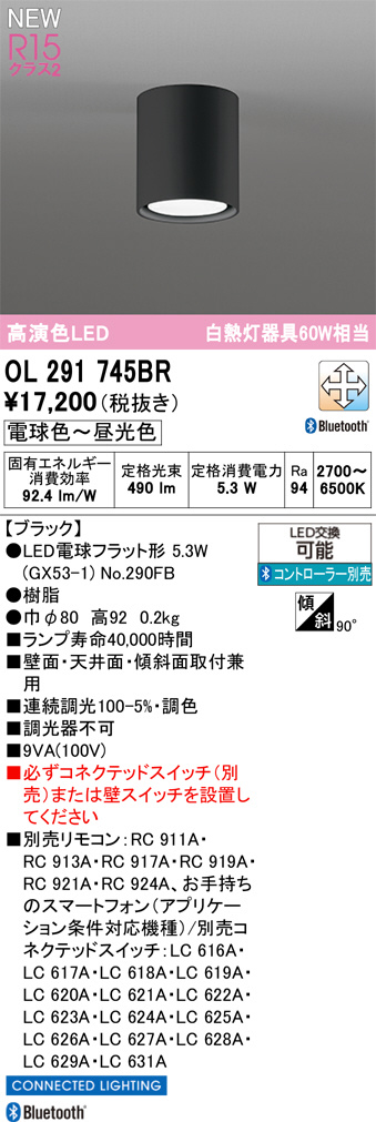 ol291745br